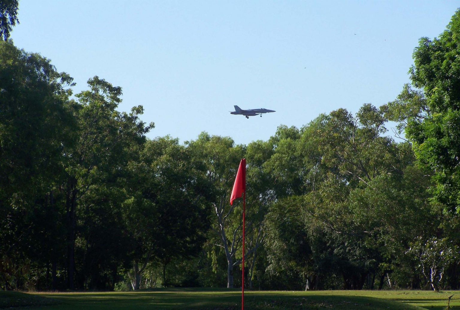 raaf7