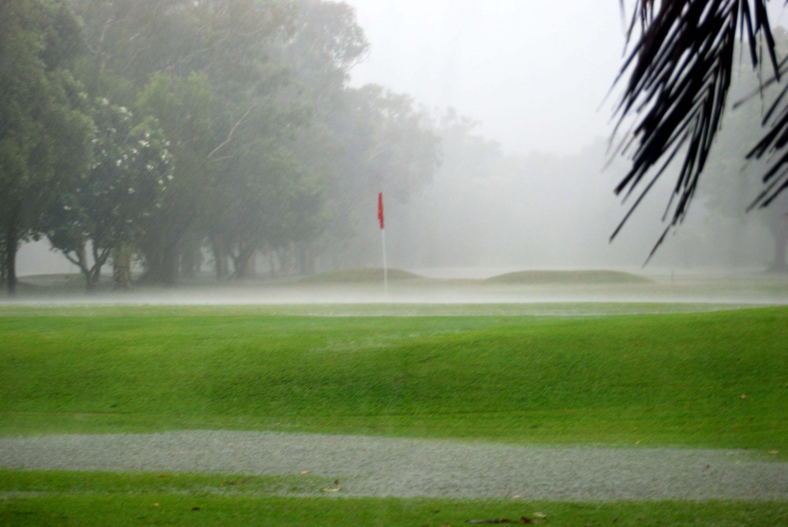 rain at raaf